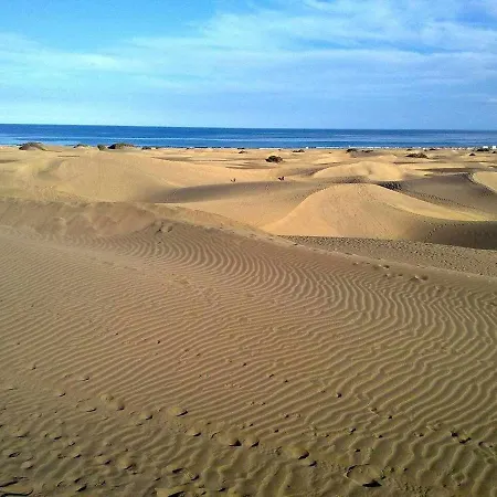 Aloe Precioso Close To Yumbo Beaches Dunas * Playa del Ingles (Gran Canaria)