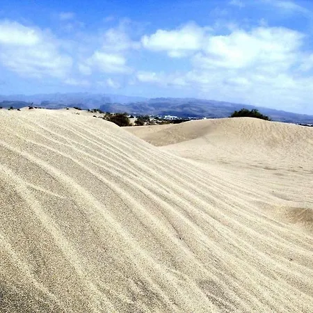 Aloe Precioso Close To Yumbo Beaches Dunas Lägenhet Playa del Inglés